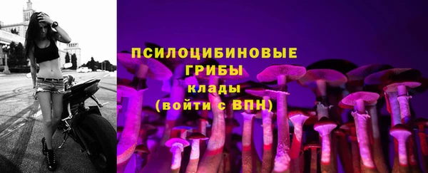 первитин Заволжск