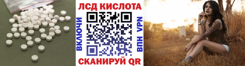 Купить закладки  Почеп  Лсд 25 экстази кислота 